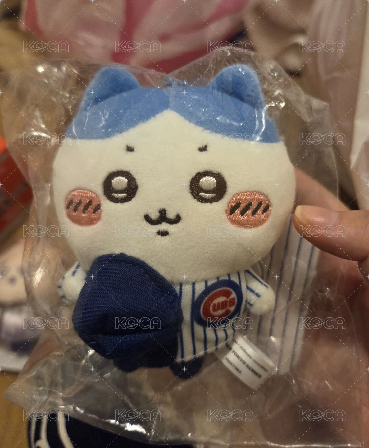 小熊