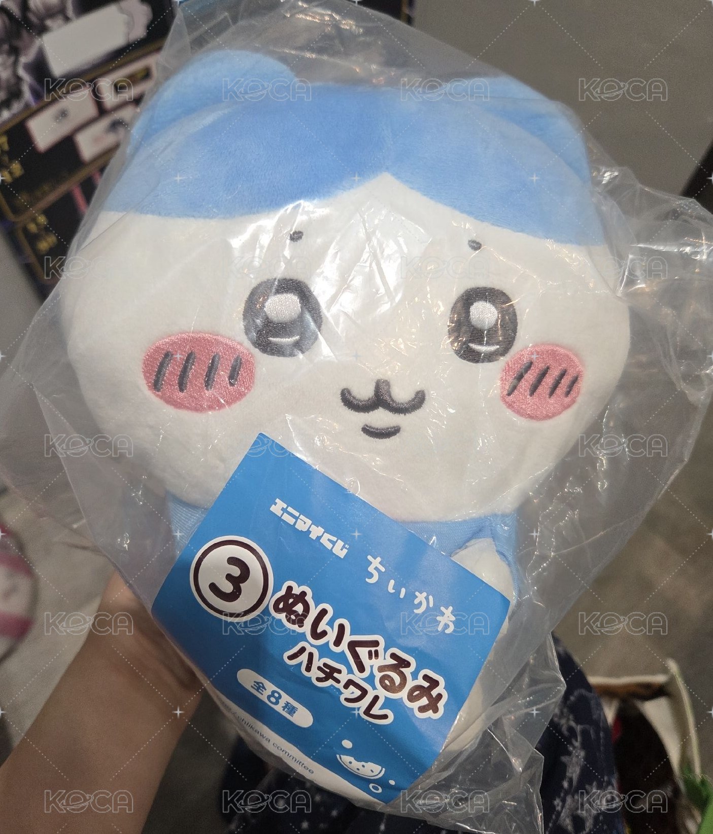 夏日回憶