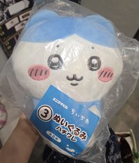夏日回憶