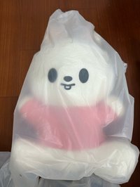 李畢