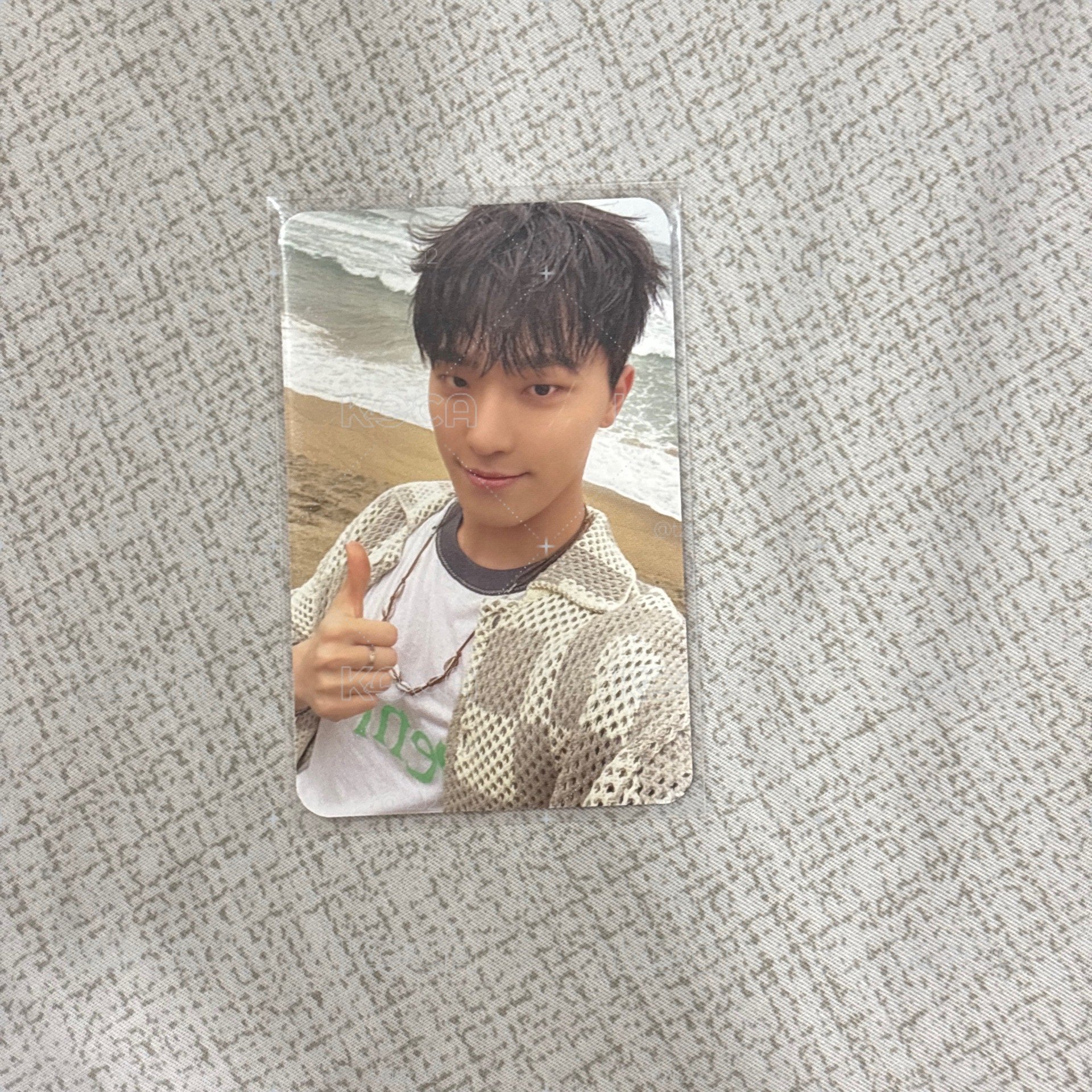seventeen dino 迷十二 生日卡背 特典卡