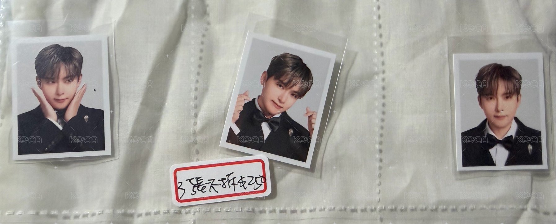 厲旭