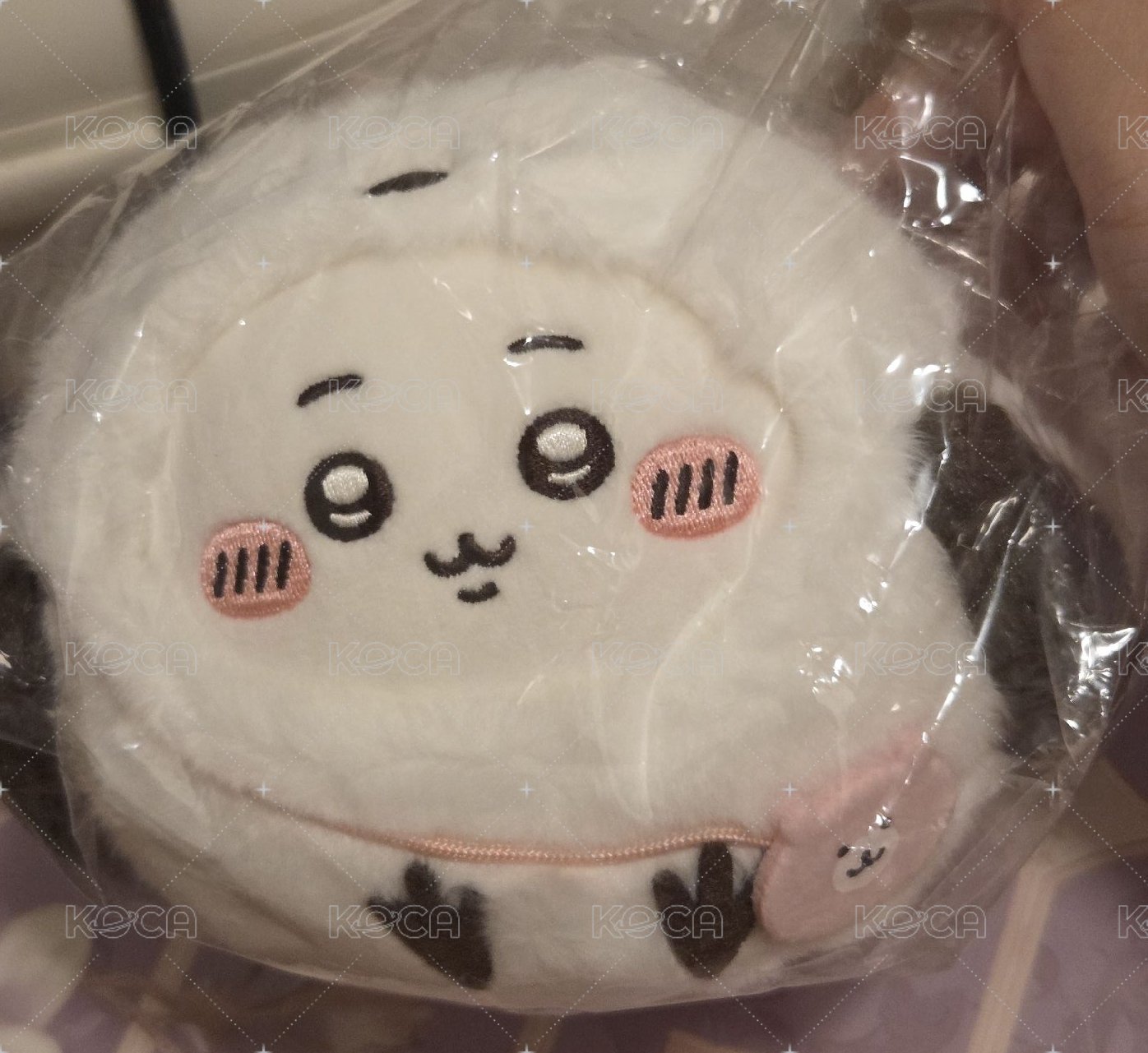 山雀(會再拍新照片)