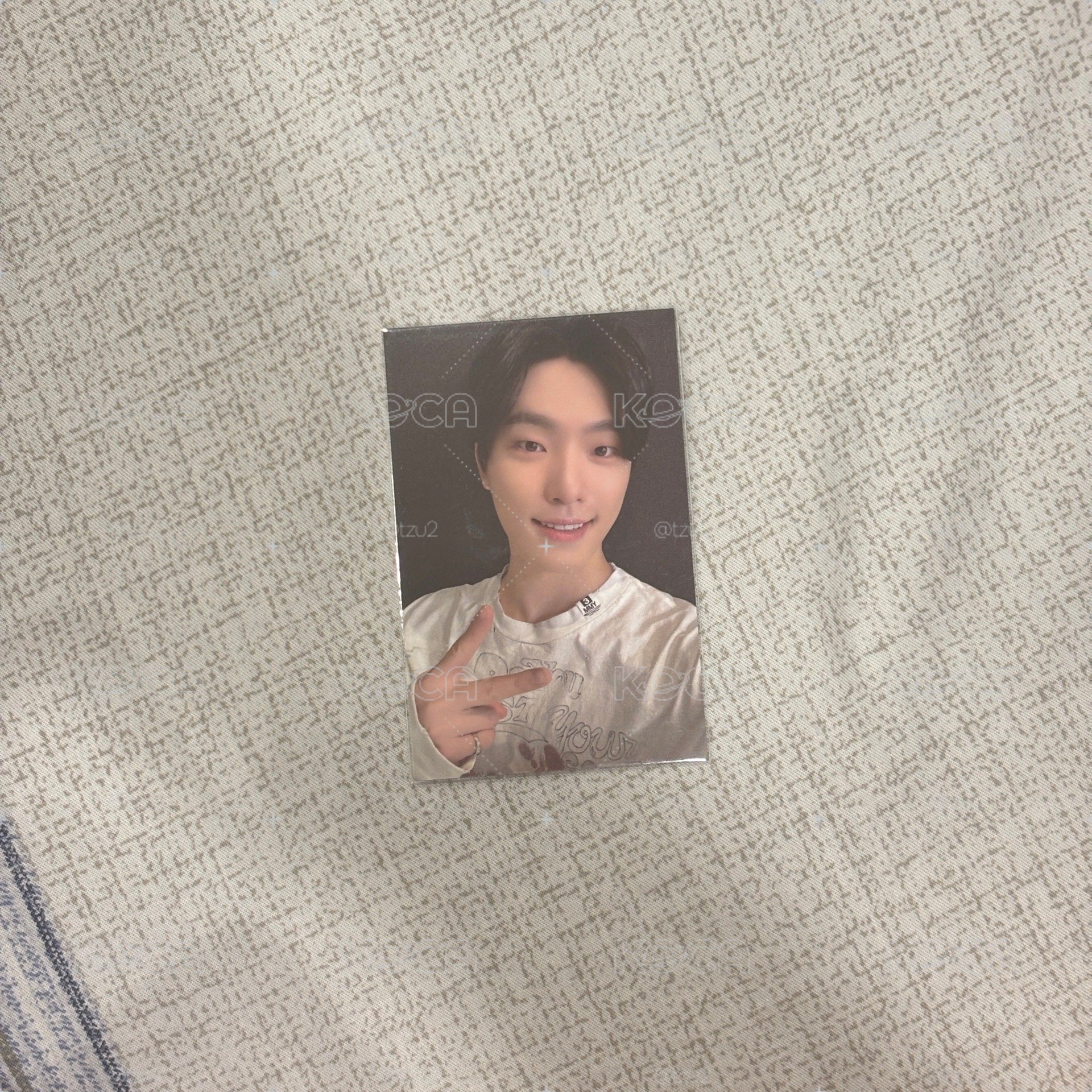 seventeen dino 九週年 項鍊卡