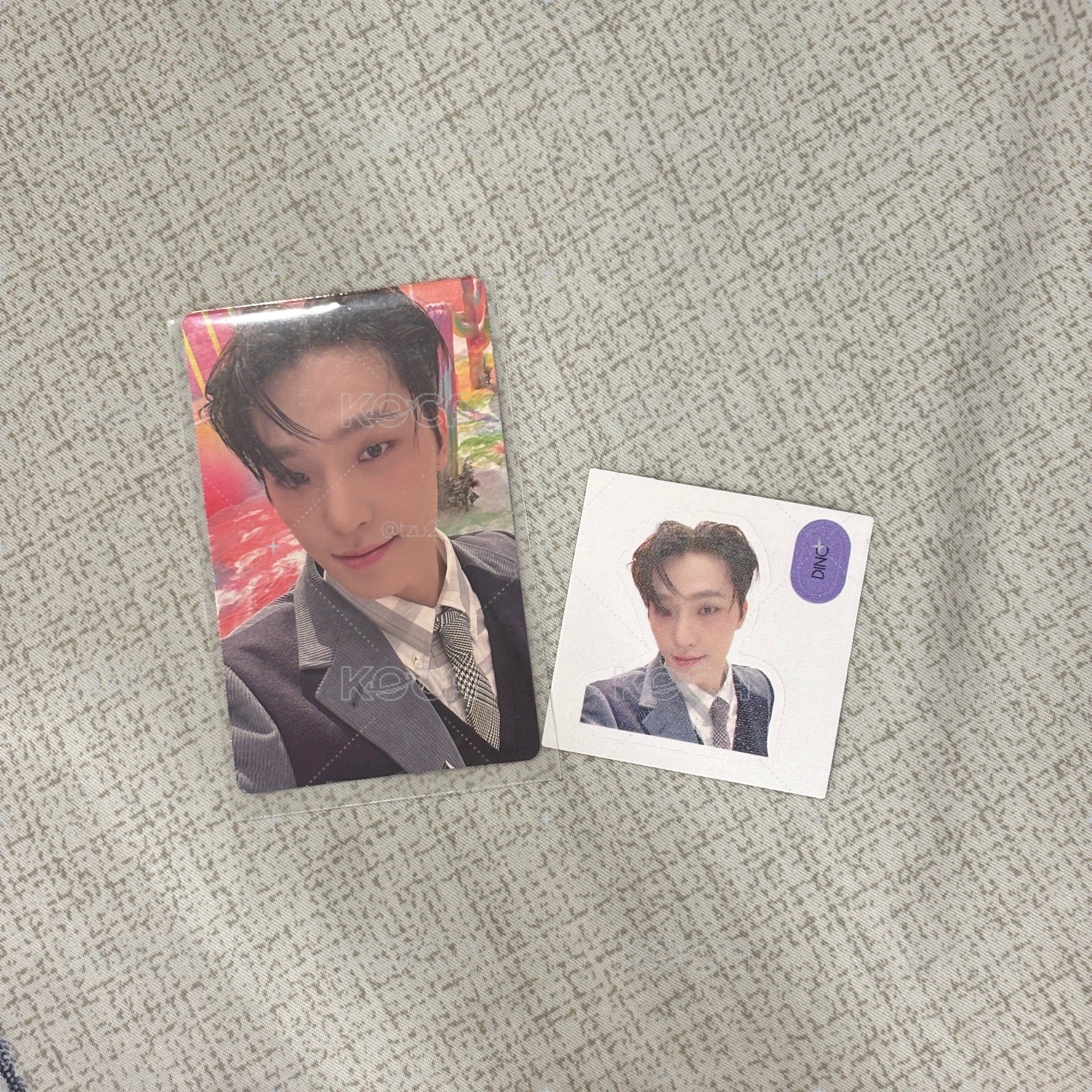 seventeen dino 精選專 特典卡 含貼紙
