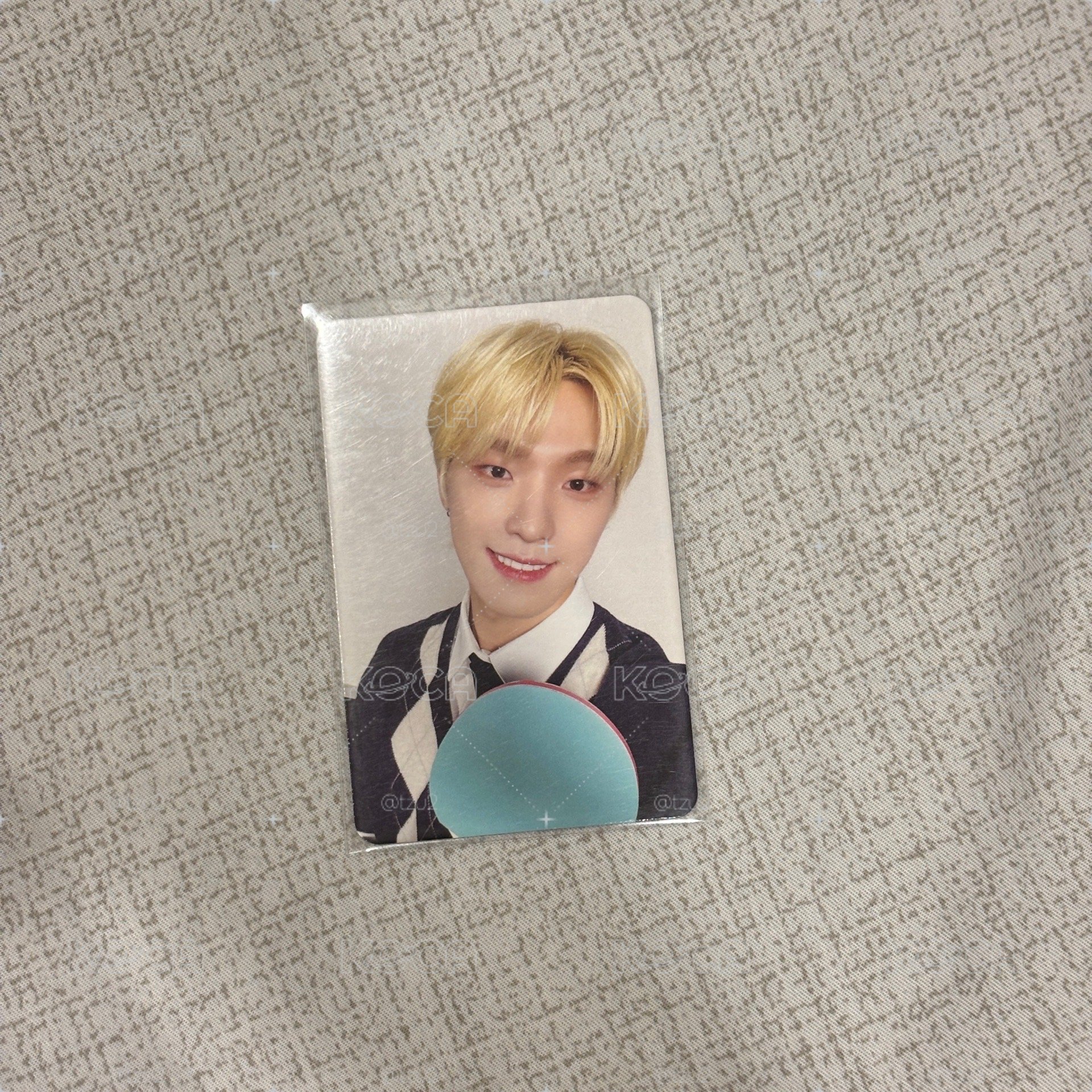 seventeen dino going 小卡