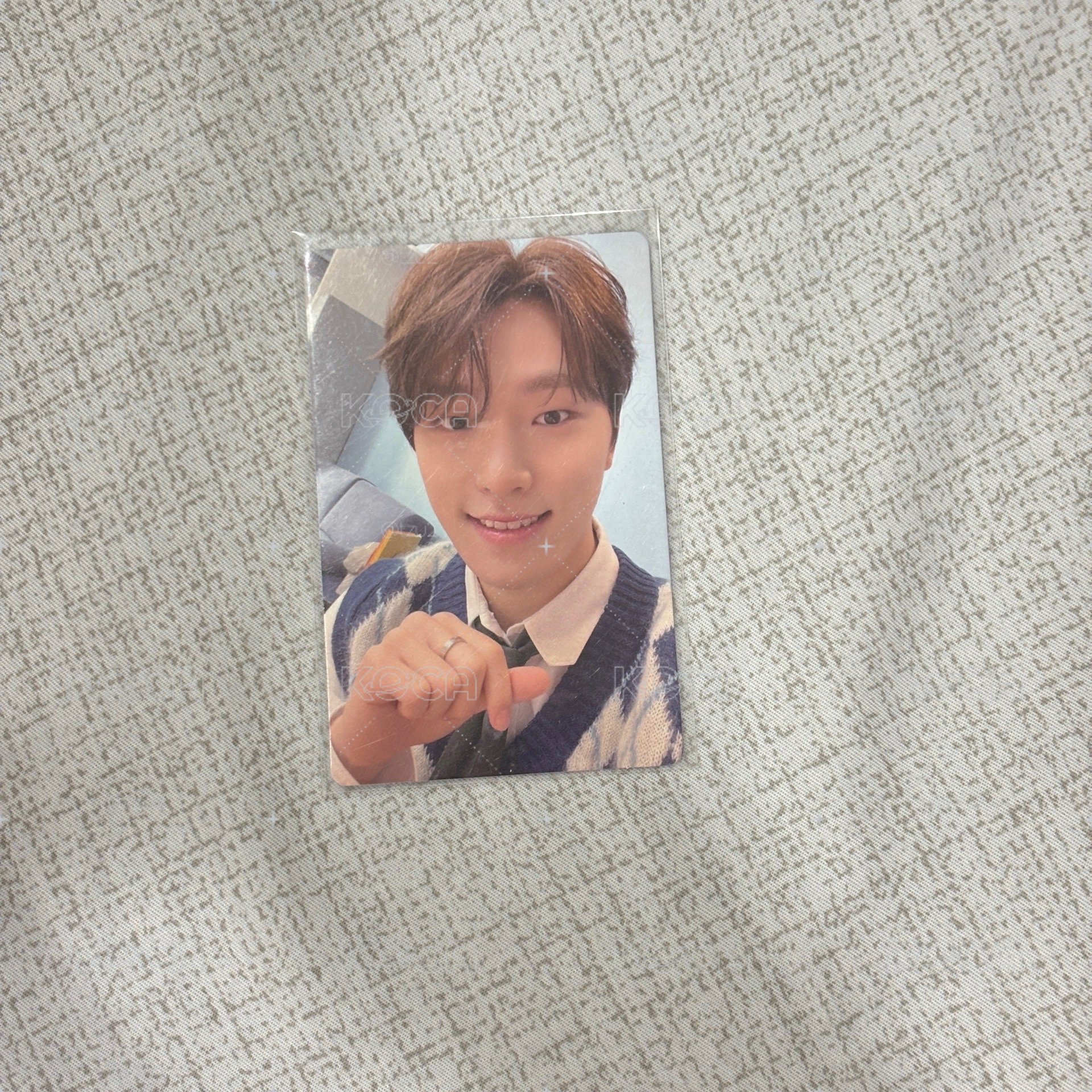 seventeen dino 迷十 小卡
