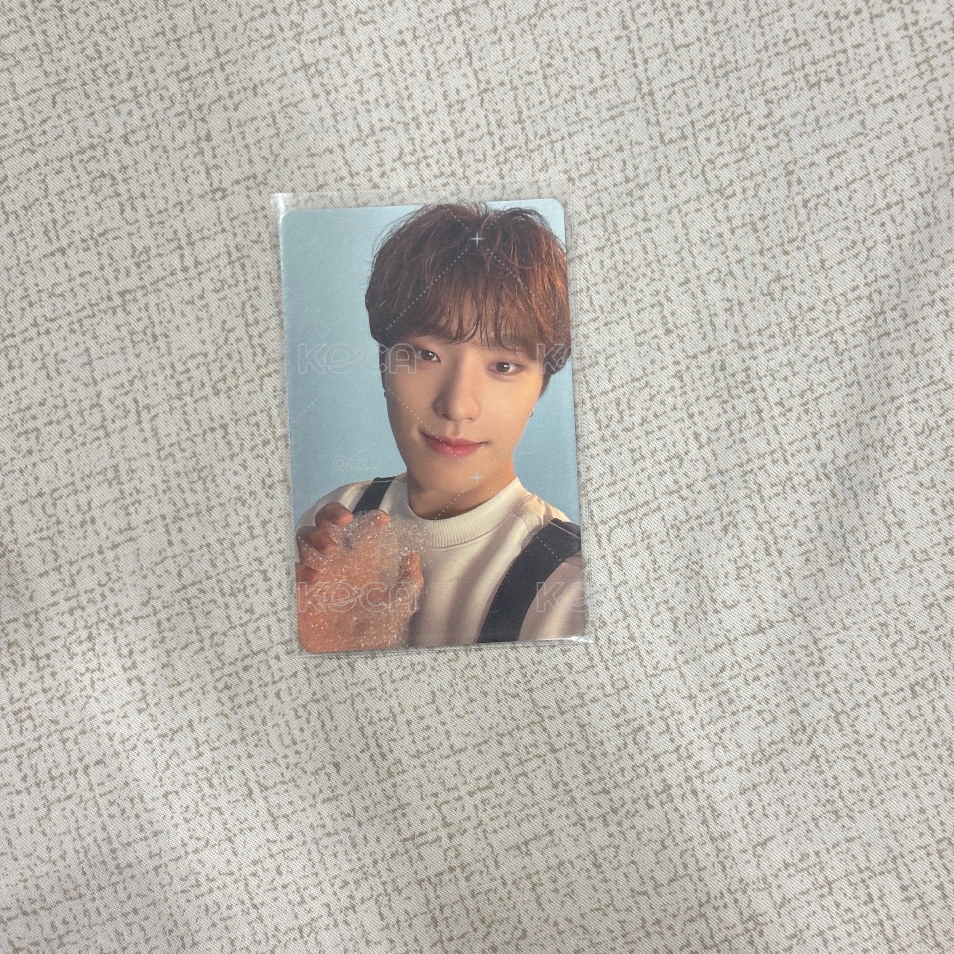 seventeen dino 泡泡燦 dream 小卡