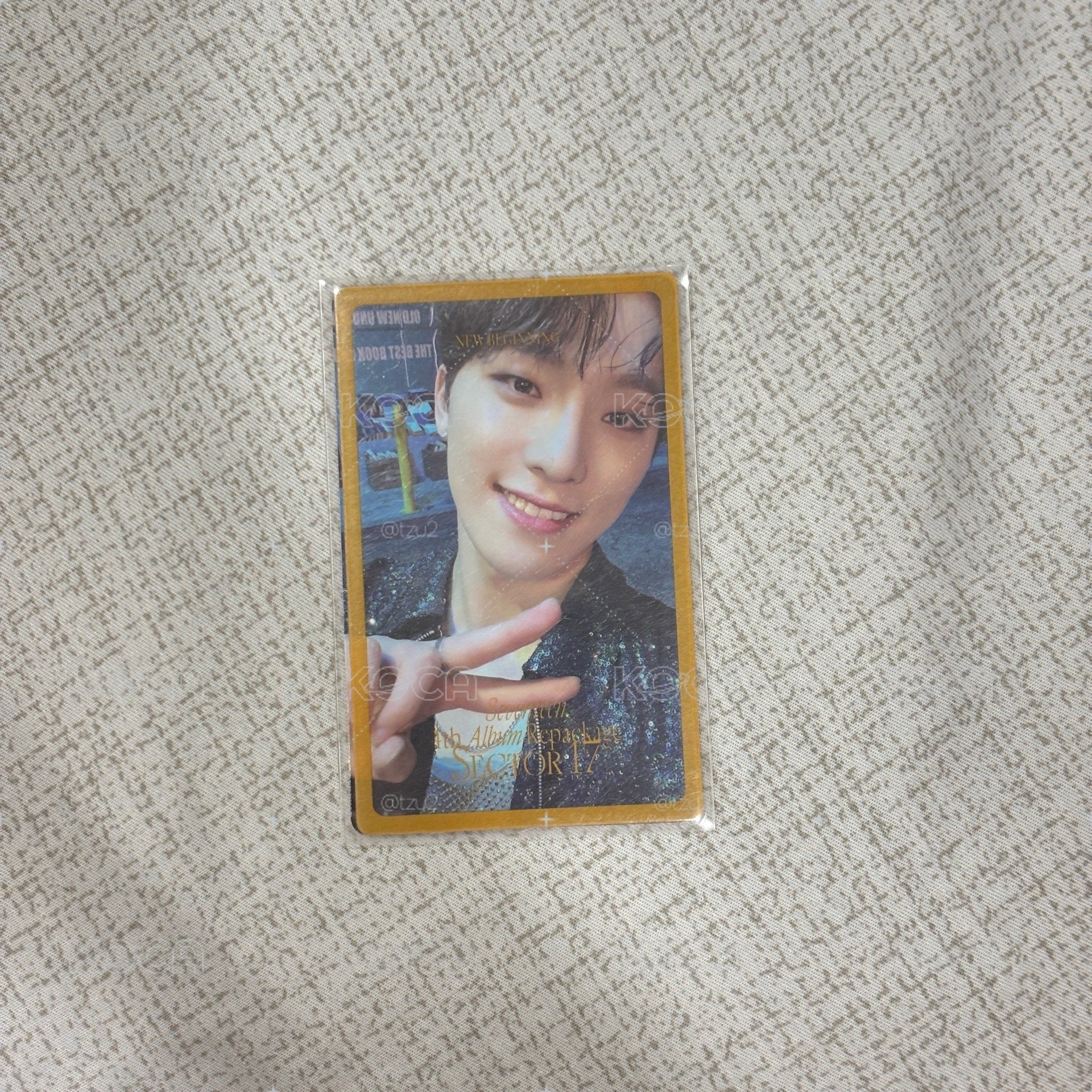 seventeen dino 正四後續 特典卡
