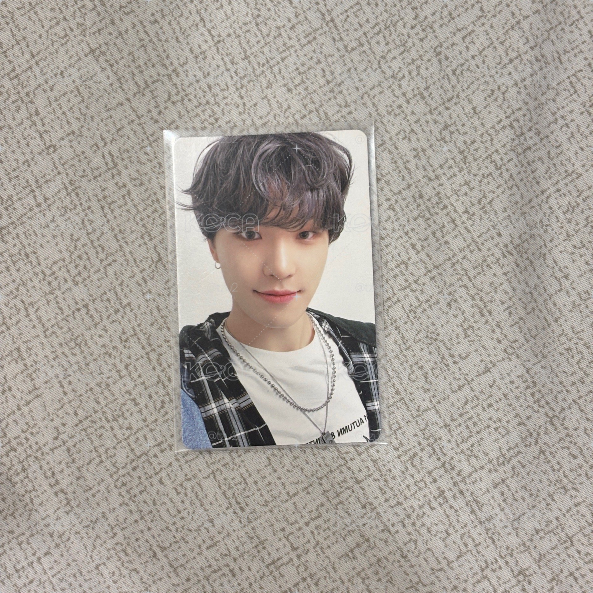 seventeen dino incomplete燦 小卡 特典