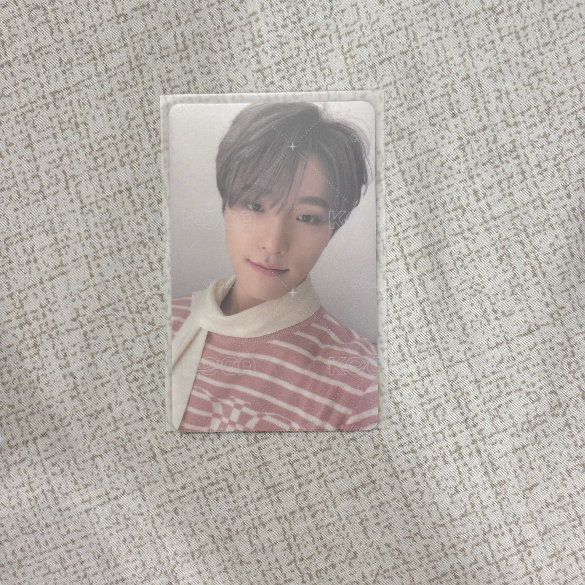 seventeen dino 李燦 迷八 幸運卡 特典 LD
