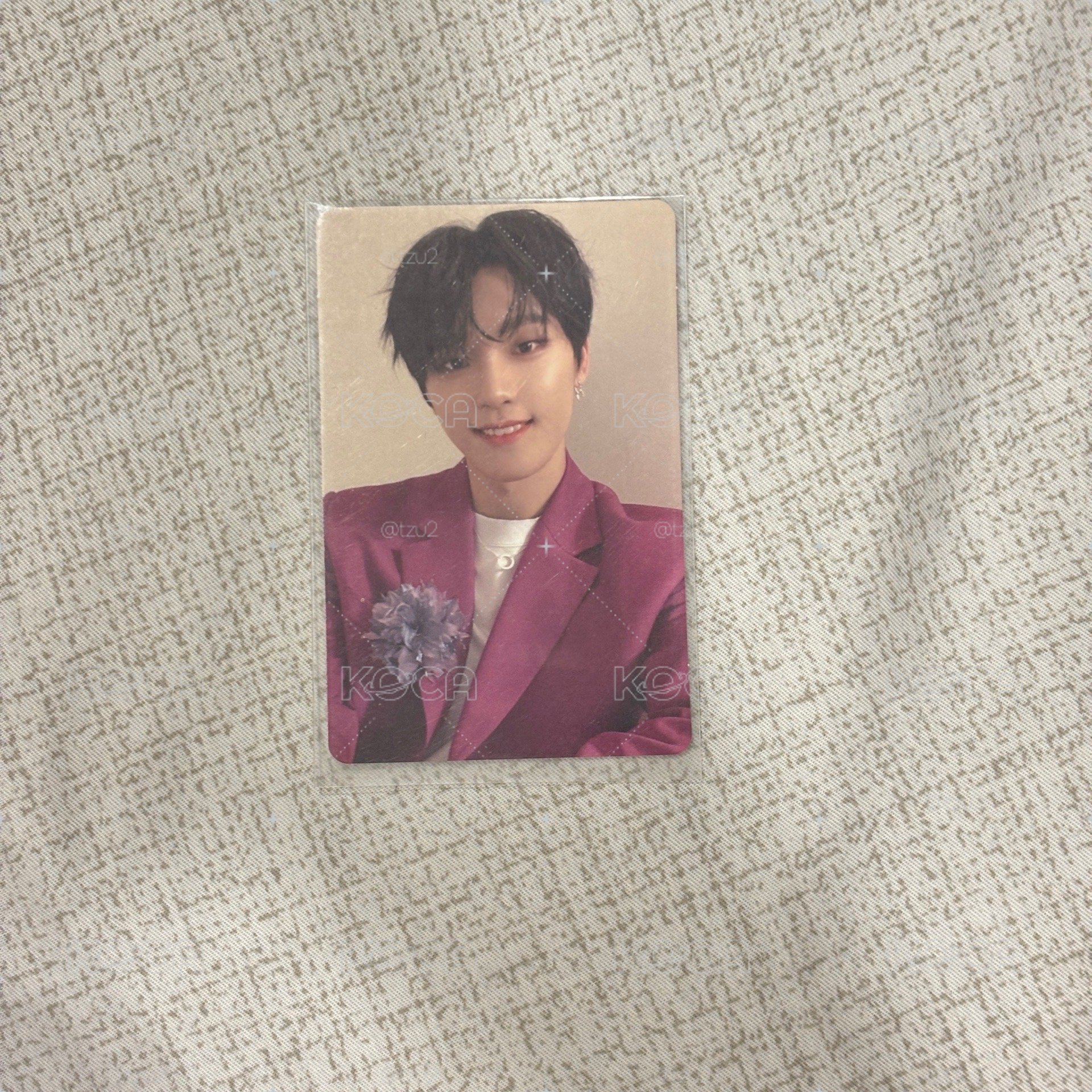 seventeen dino 落花燦 小卡