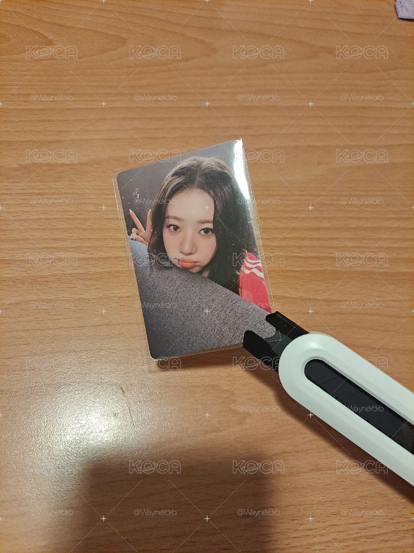 比耶韓背茶仁