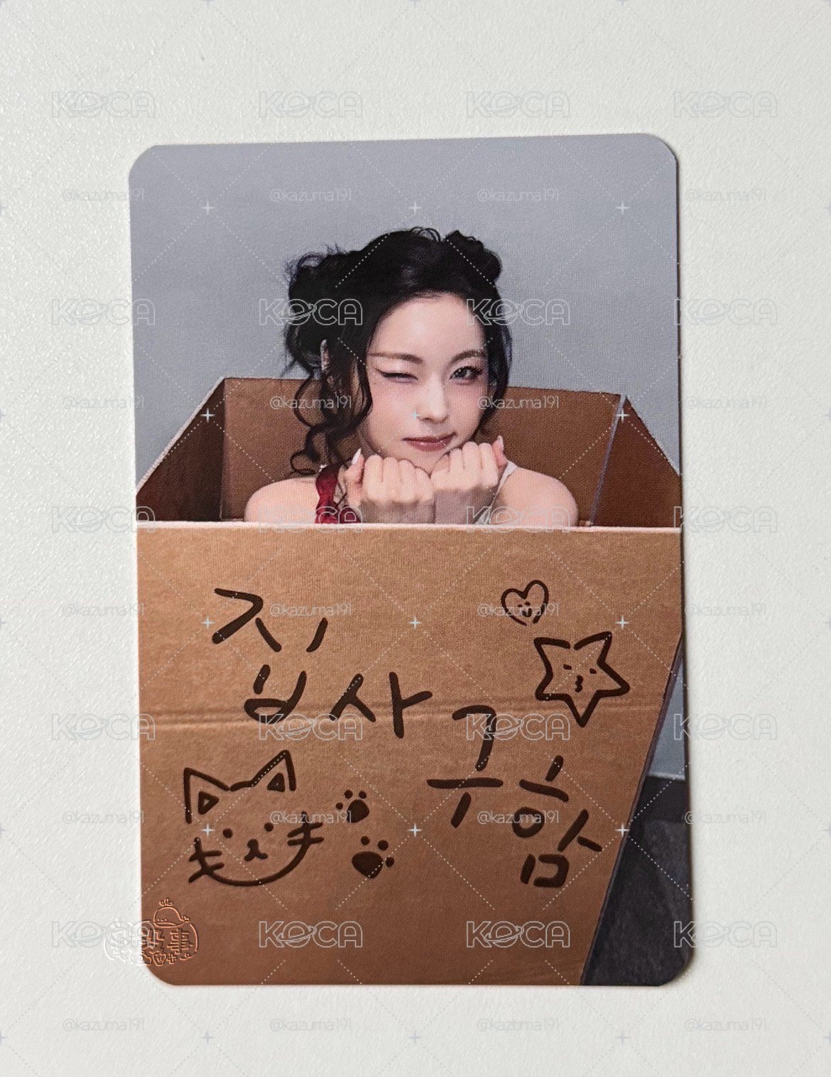 正規一 鏟屎官圭