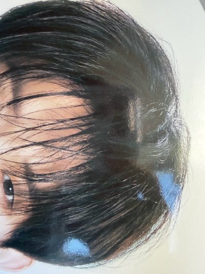 Promise竣王扇