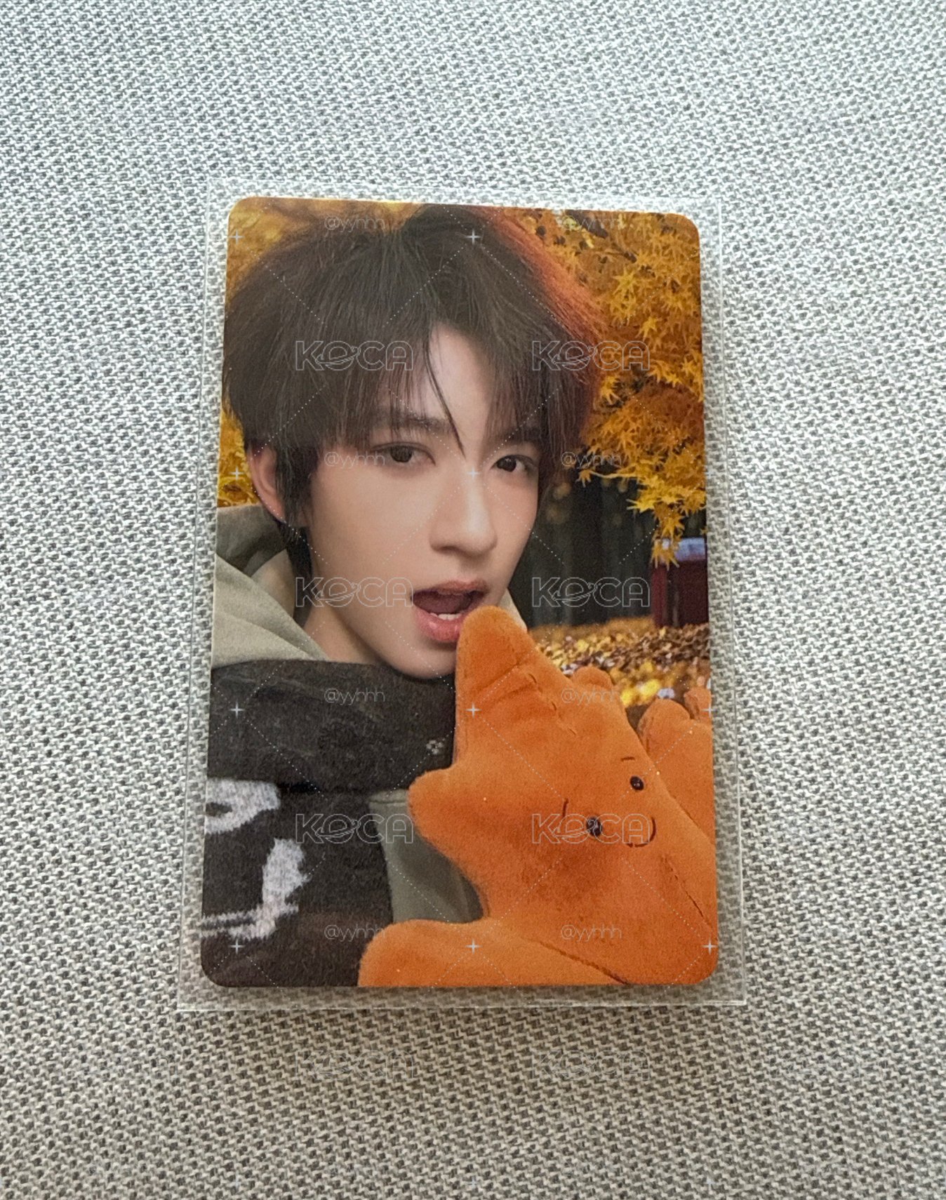 秋日單固