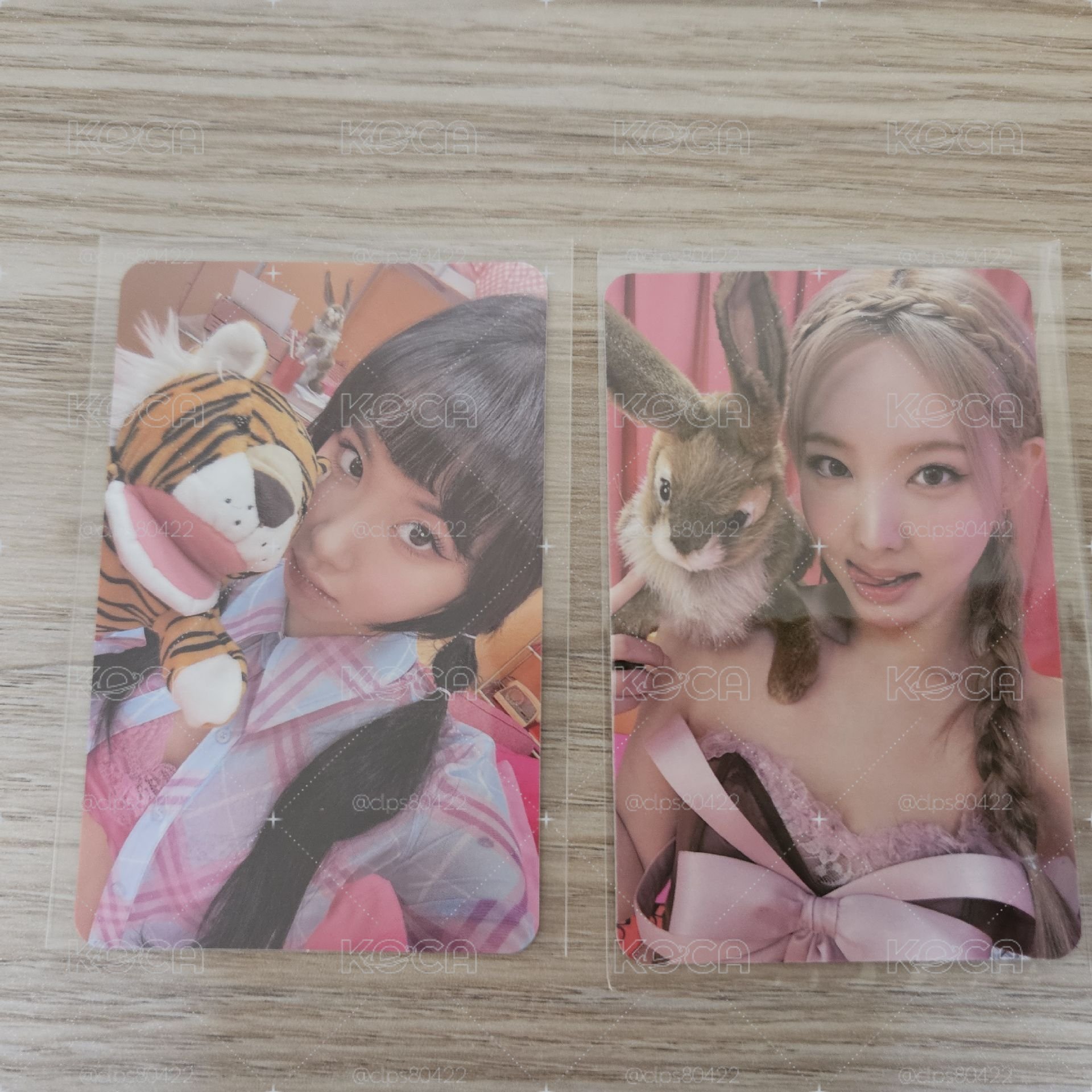 虎兔之爭 彩瑛娜璉