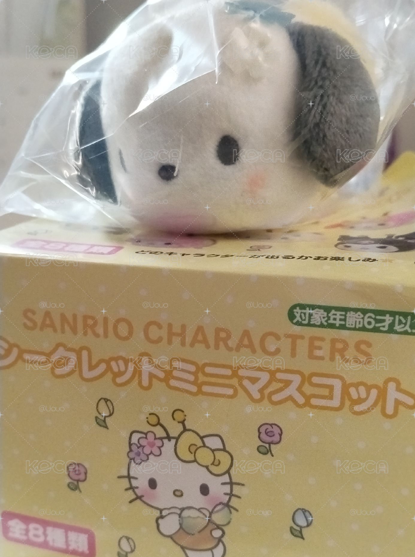 ❕小蜜蜂帕恰