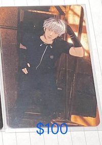 銀虎單人