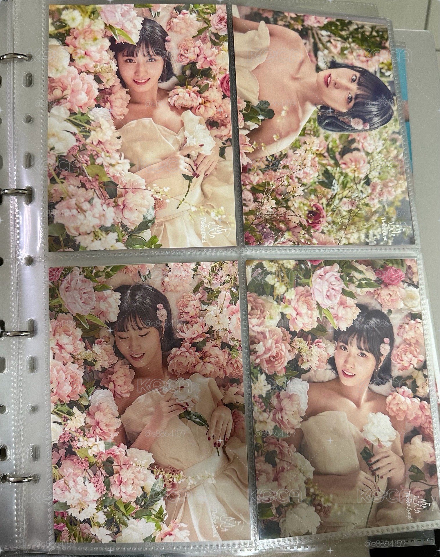 桃 婚紗 腳踏車 大卡