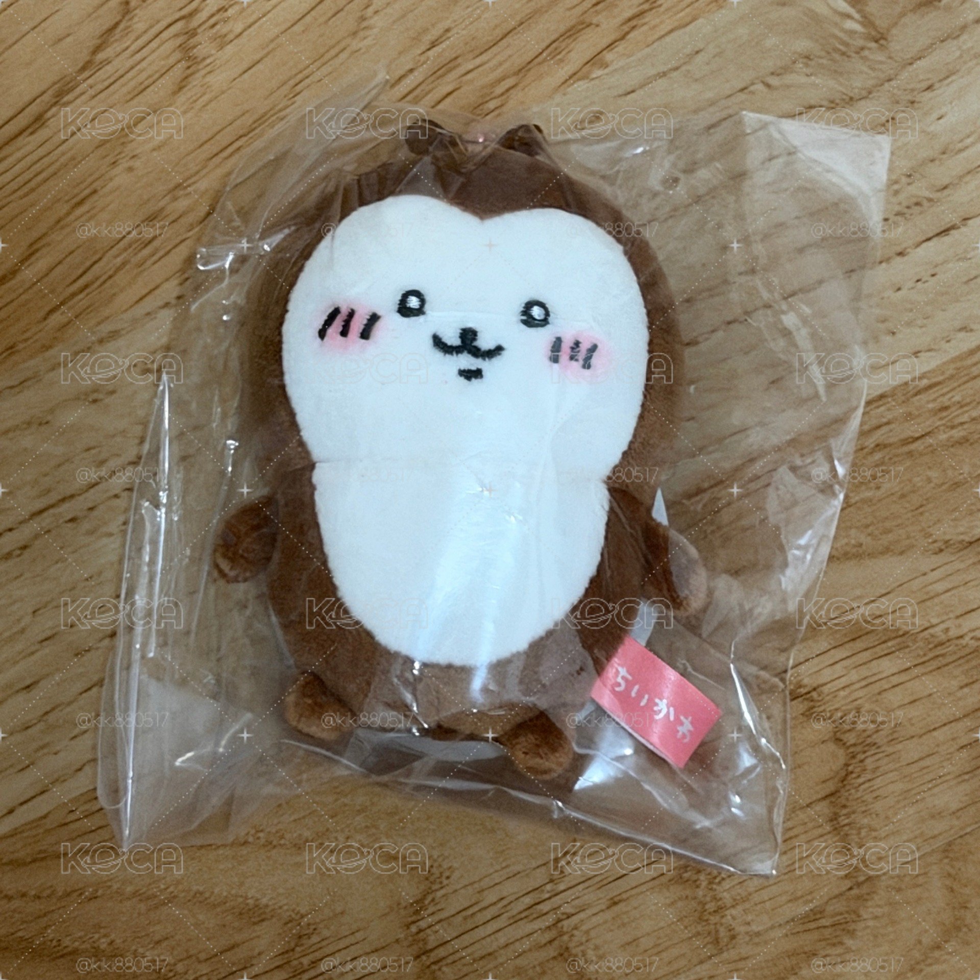 小甲蟲