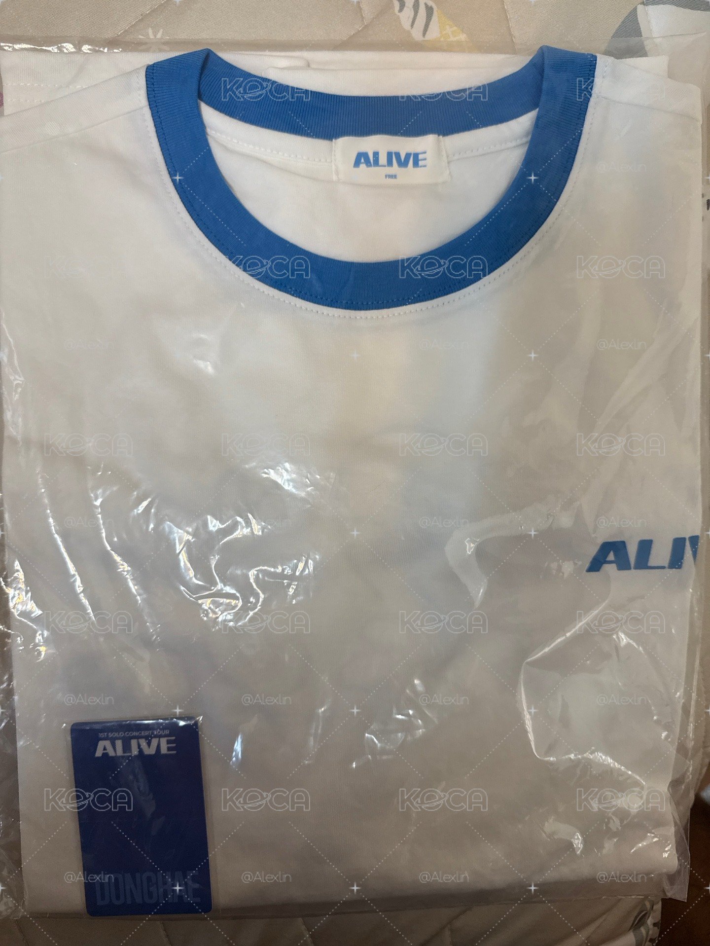 東海solo Tshirt