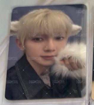 🐑
