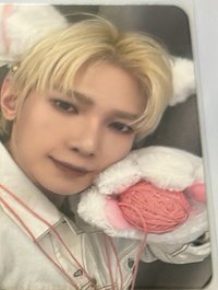 貓貓