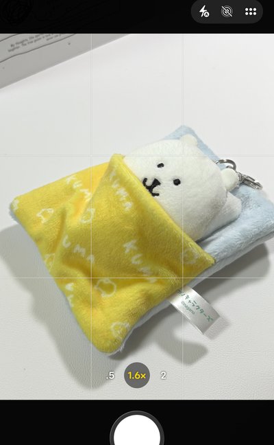 熊陪著人入睡💤