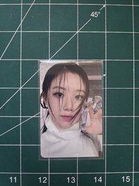 爪子刷