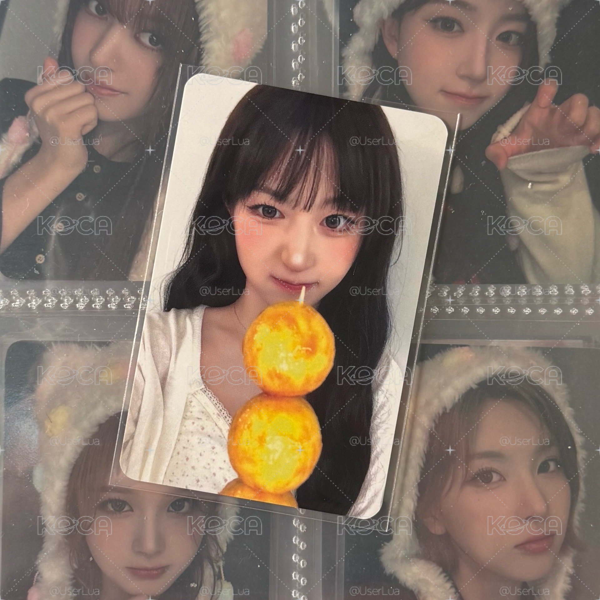 🐳/🪼小夜曲 ms咖喱魚蛋 嫄