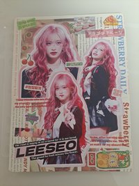 李瑞訂製擋板 四宮格卡冊專用 | 雙面