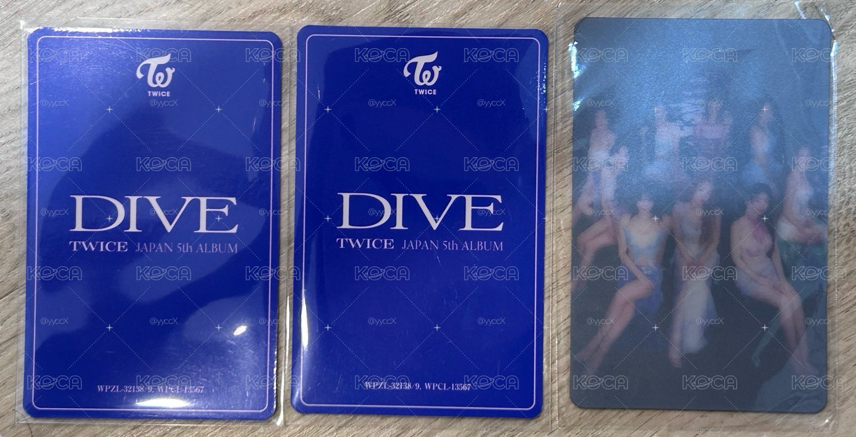 DIVE 紗多