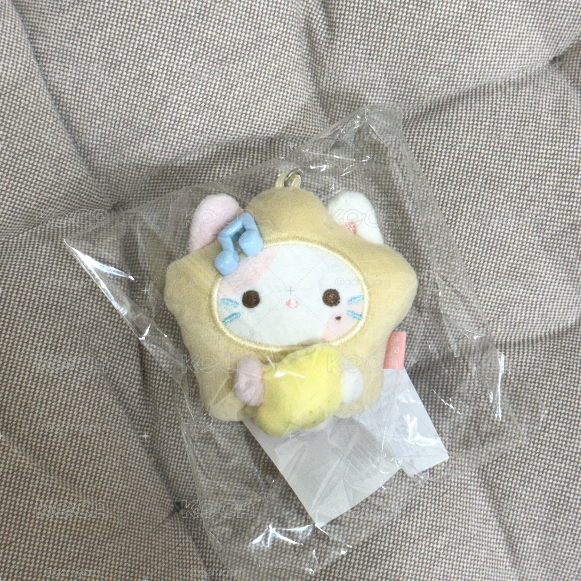 stella檸檬娃🍋