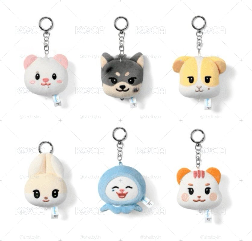 ❗️線上一販已確定購入❗️【預購免二補】TWS TWIMI:42FOREST FACE PLUSH KEYRING