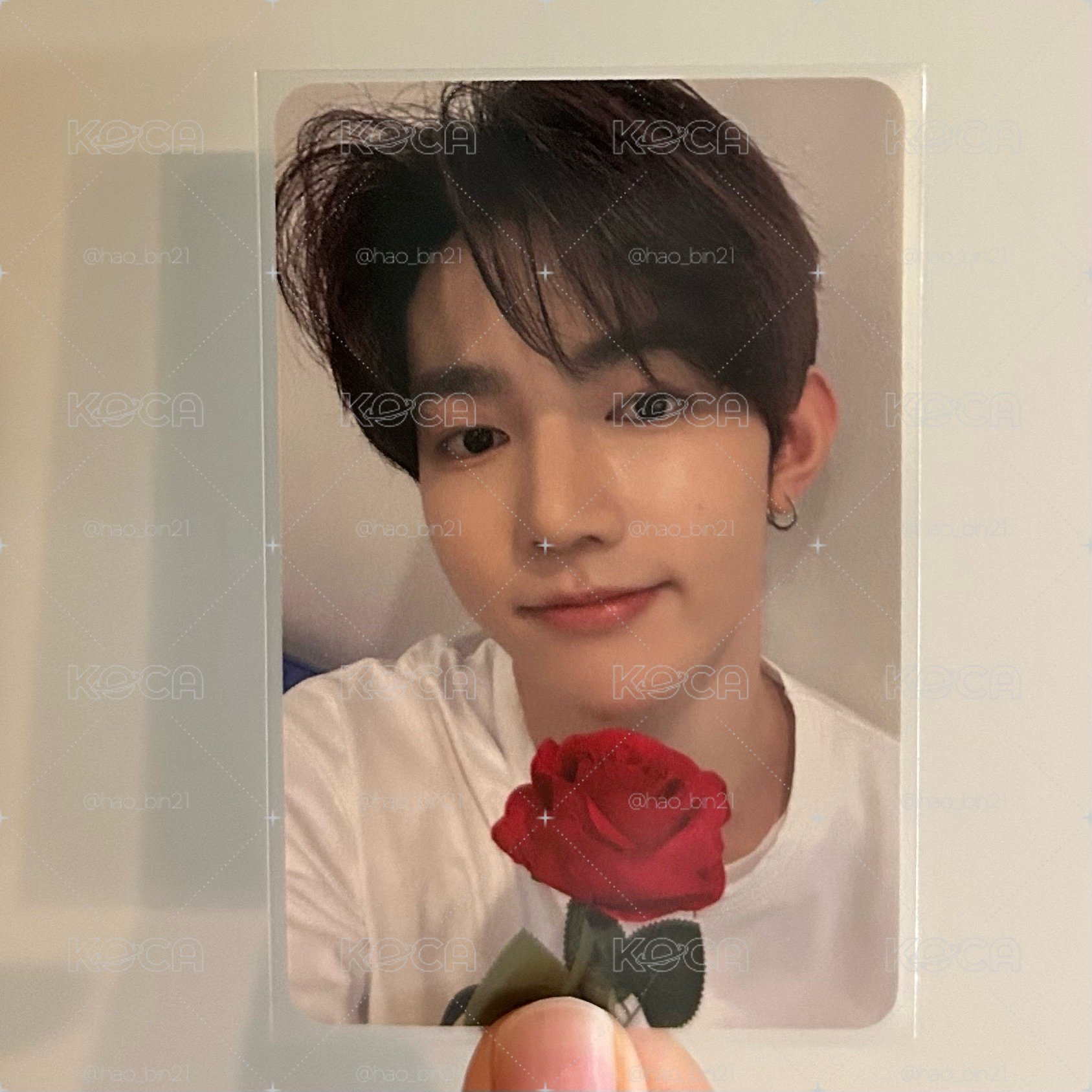 玫瑰🌹中背昊
