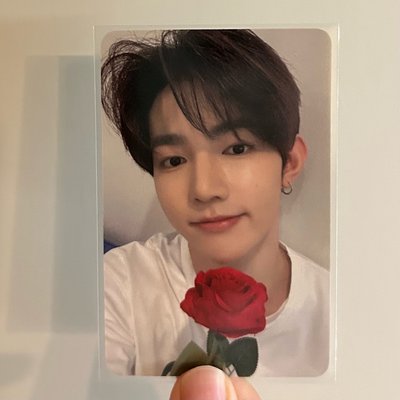 玫瑰🌹中背昊