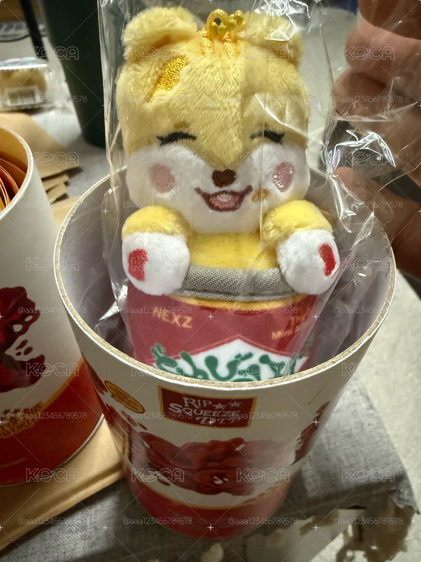HYUI SAUCIN 娃專 未拆