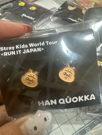 🐿️闊卡耳針