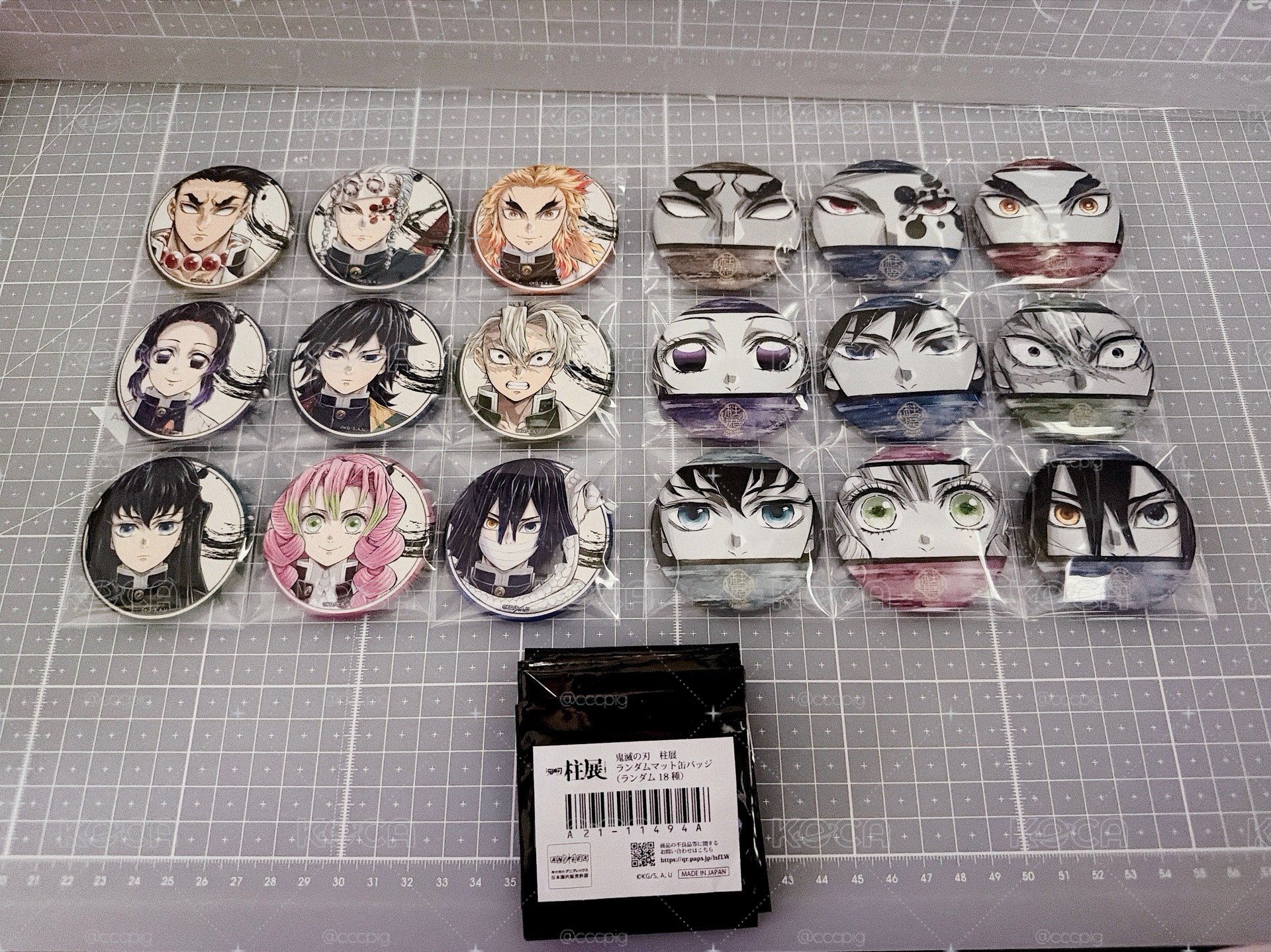 鬼滅之刃 柱展 眼神徽章 半身 主視覺徽章 全套18個