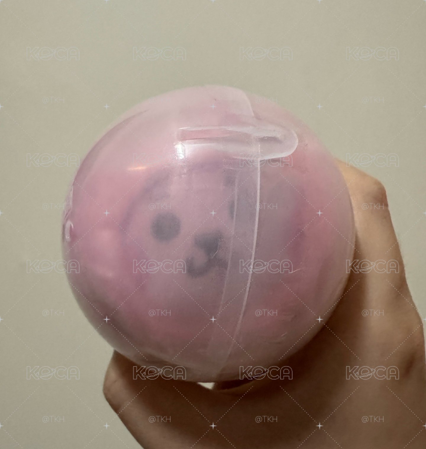 萬代BT21扭蛋Cooky