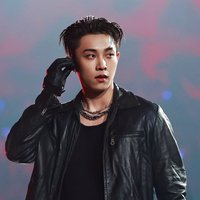 追星小狗韓國當廚房