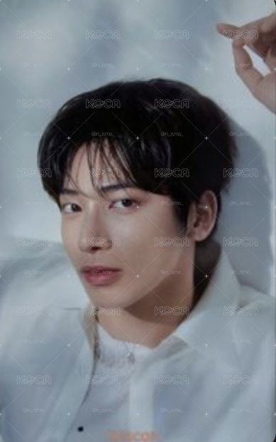 顯