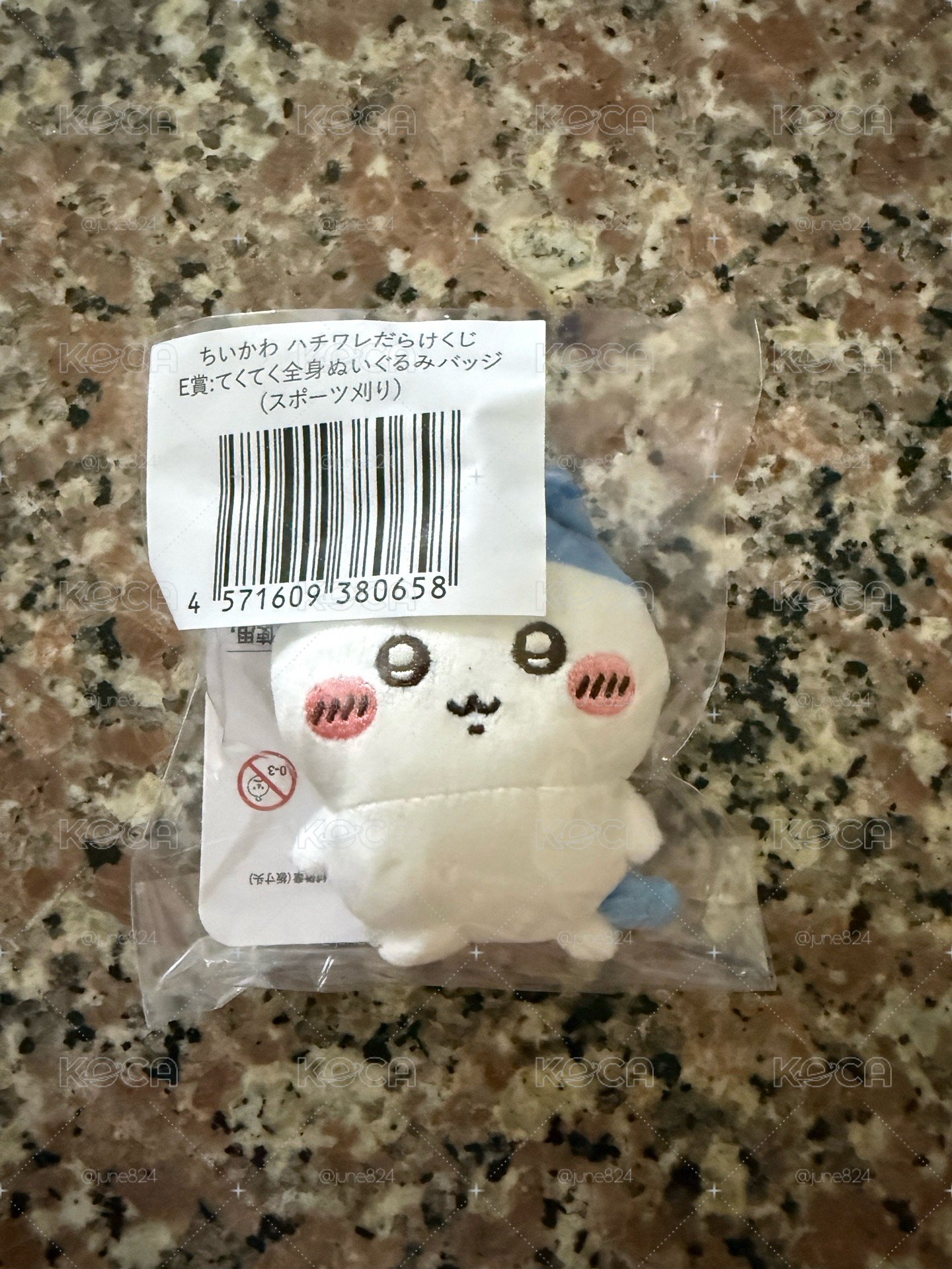 人魚島鱗片組