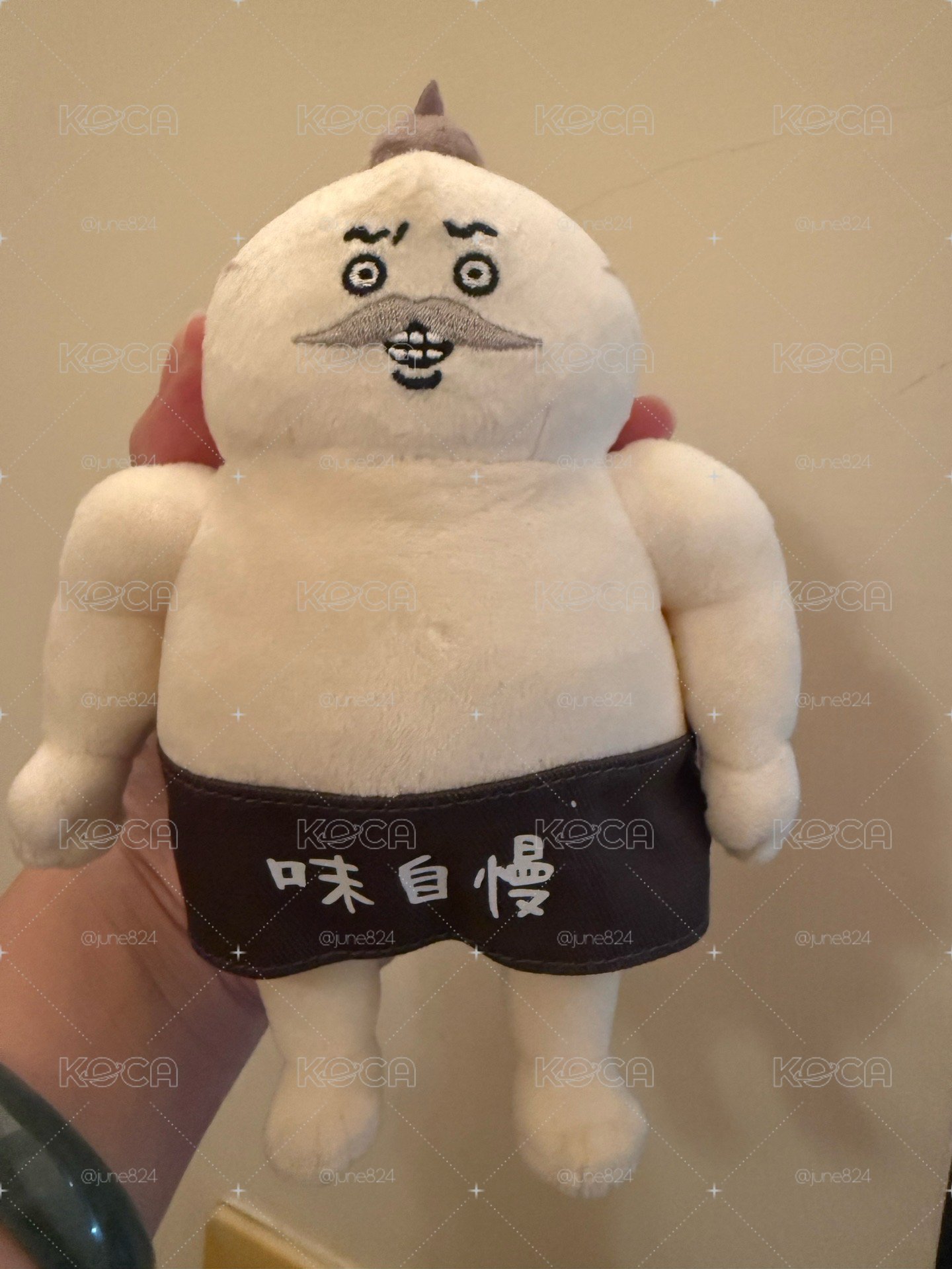 人魚島鱗片組