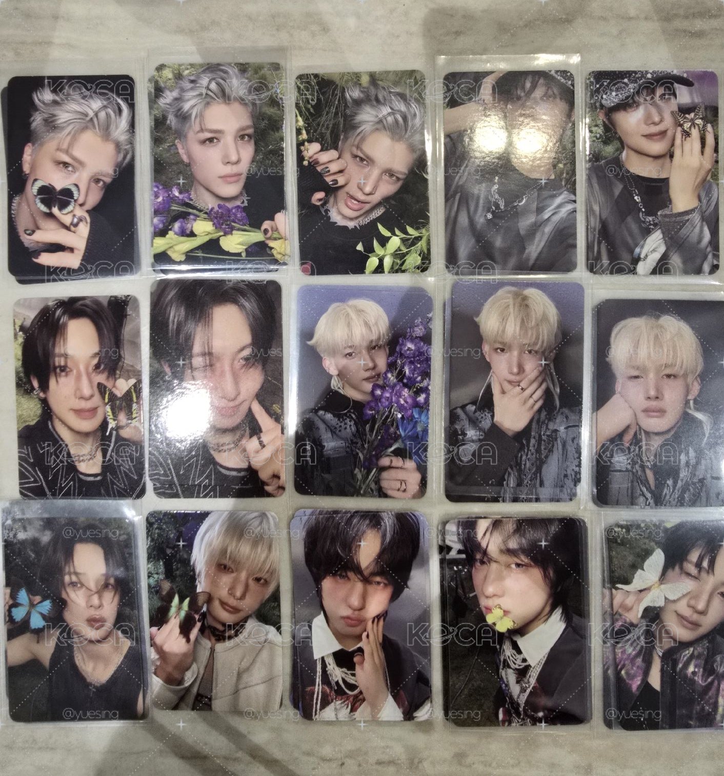 ＆TEAM 專卡出清 1張5元