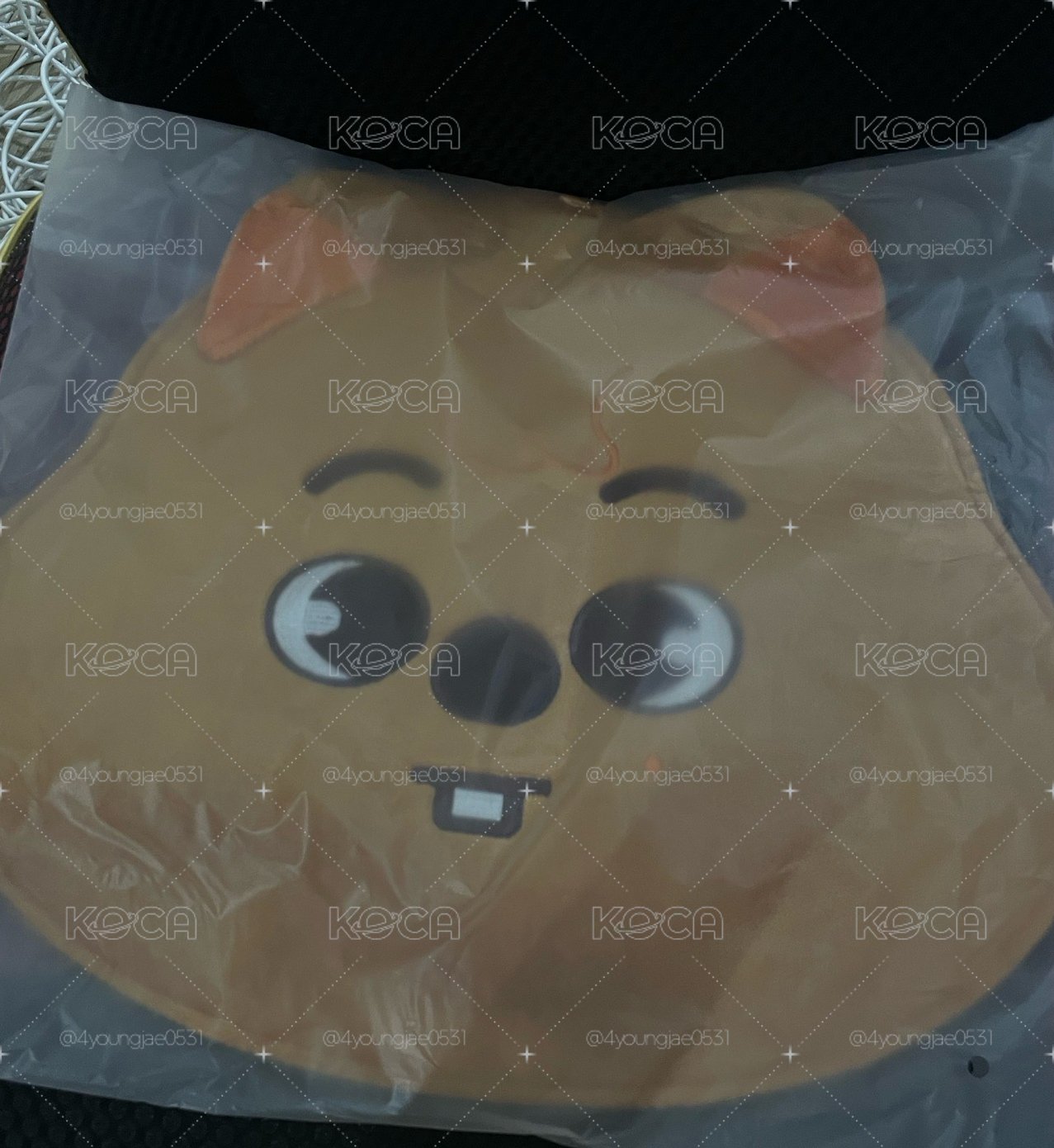世巡扇套 全新未拆