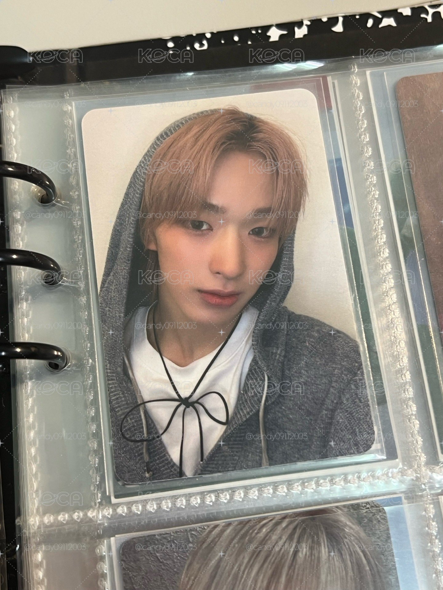 tomoya sr預售 中文卡背🐧