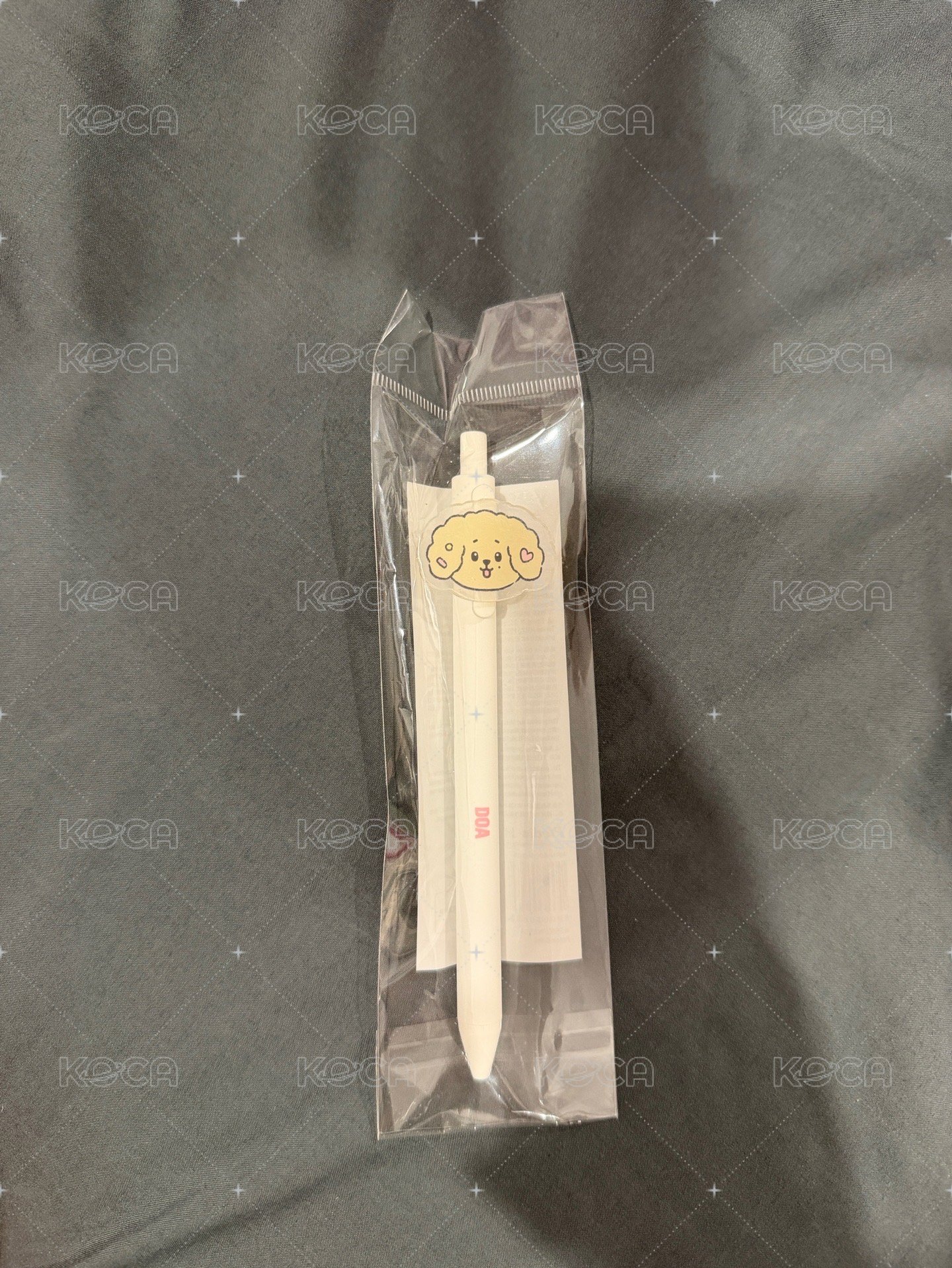 碩