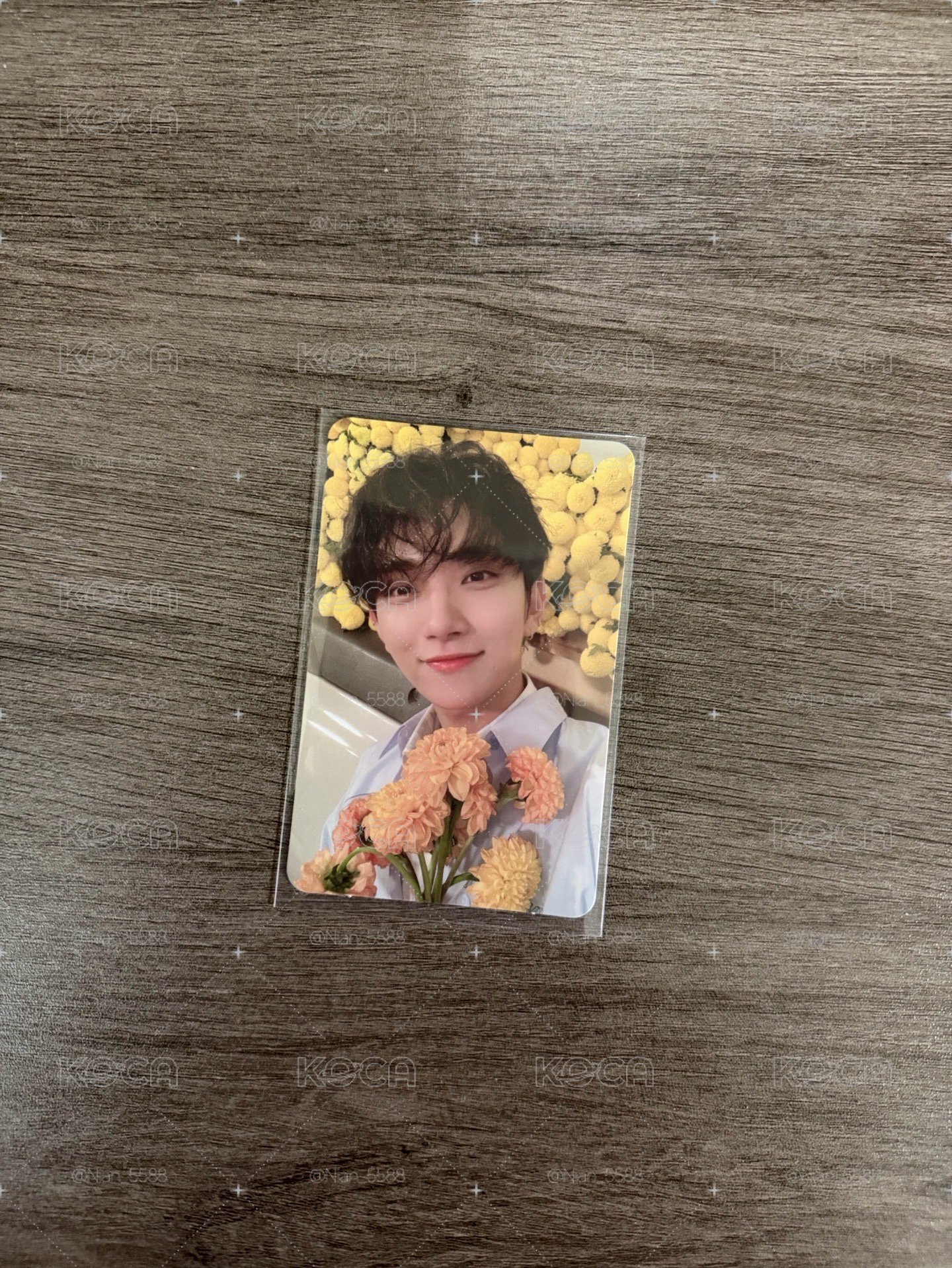 捧花秀～尋有緣人🦌